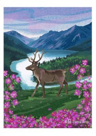 Алтай: цветение маральника